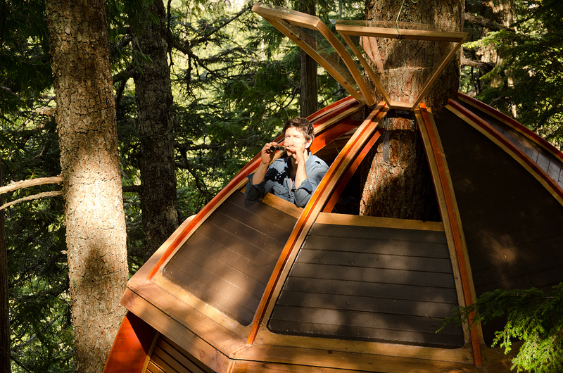 Illustration for article titled These Are The Most Amazing Tree Houses Ever